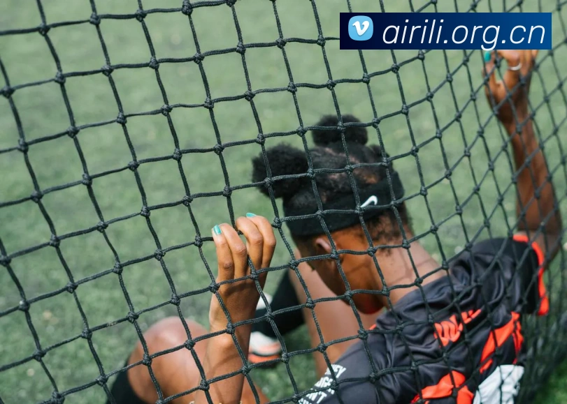 米兰app体育登录入口安全吗发展历程